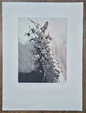 Albin Brunovsky - The Labyrinth of the World and the Paradise of Heart - XX/XXXV kopen? Bied vanaf 1250!