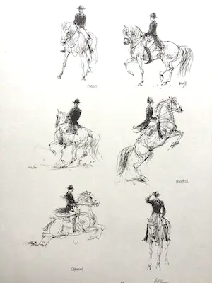 Piet Klaasse - Paarden, proefdrukken offsetlitho, 2-zijdig bedrukt, gesigneerd in druk kopen? Bied vanaf 25!