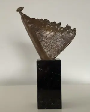 Tjikkie Kreuger - Windgodin kopen? Bied vanaf 225!