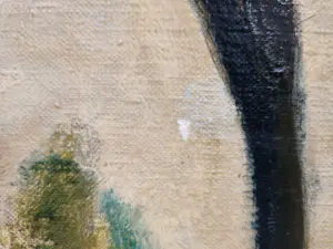 Jan van Riel - Boerderij kopen? Bied vanaf 20!