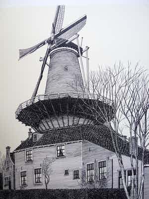 Sees Vlag - DELFT- MOLEN DE ROOS verkocht voor € 50!