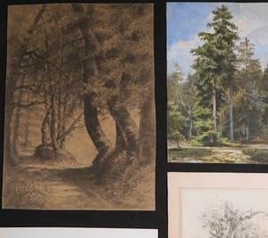 Niet of onleesbaar gesigneerd - Diverse (houtskool)tekeningen en een aquarel van Bomen kopen? Bied vanaf 1!