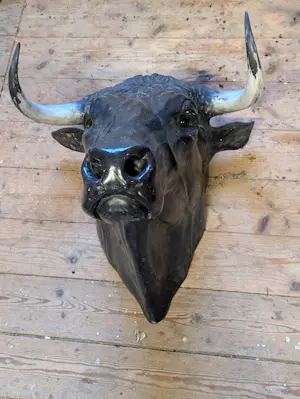 Chris Tap - Stierenkop kopen? Bied vanaf 3500!