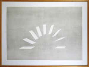 Jeroen Henneman - Ets, Het kleine verschil - Ingelijst (Zeer groot) verkocht voor € 750!