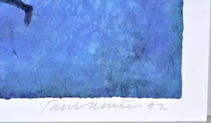 AcheterJan Vanriet - Zeefdruk, Gesigneerd, 47x58 cm, 1992? Enchérissez de 90!