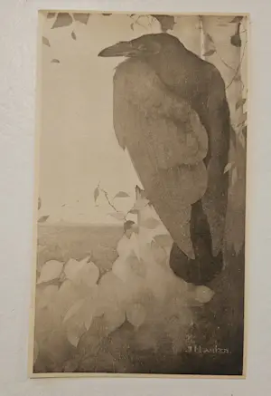 Jan Mankes - Raaf op Berkenboom kaufen? Bieten Sie von 40!