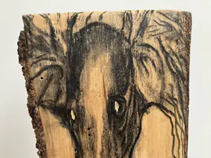 Emile van der Kruk - Greyhound kopen? Bied vanaf 1!