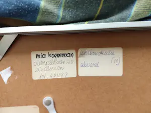 Mia Koeneman - Wolkenstudie kopen? Bied vanaf 30!