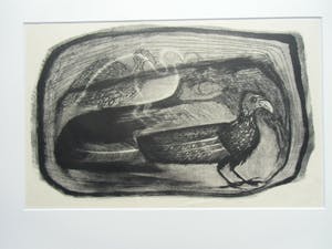 Jan Bezemer - ARGUSVOGEL /// LITHO VAN JAN BEZEMER kopen? Bied vanaf 50!