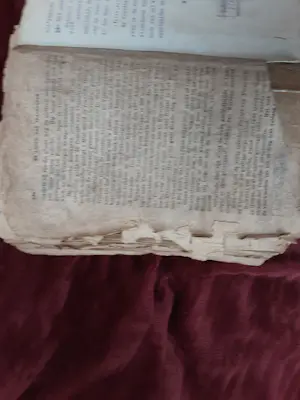 Antiquarisch Boek - De leeuw van Vlaanderen kopen? Bied vanaf 30!