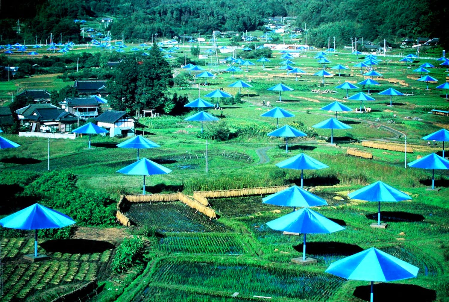 Christo - Ongesigneerde foto litho: The Umbrellas - Japan- 1991 (laatste exemplaar!) verkocht voor € 25!
