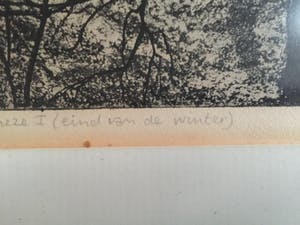 Paulien Wittenrood - Wolfheze I kopen? Bied vanaf 10!