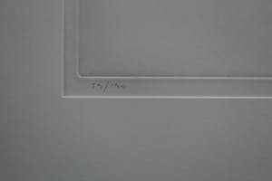 Hans Vredegoor - Ets en Aquatint - 1989 kopen? Bied vanaf 40!