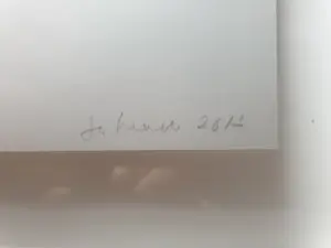 Jan Henderikse - Zero - Blinddruk van centen - 34 x 27 x 3 cm kopen? Bied vanaf 250!