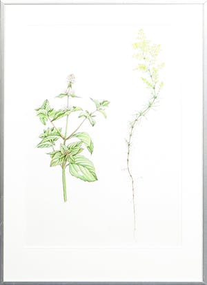 Niet of onleesbaar gesigneerd - Potloodtekening, Zonder titel - Ingelijst kopen? Bied vanaf 1!