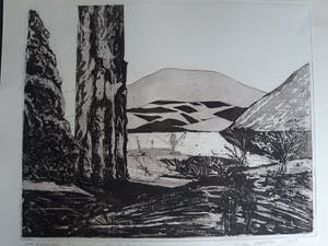 Jan Vaatstra - Somberland kopen? Bied vanaf 5!