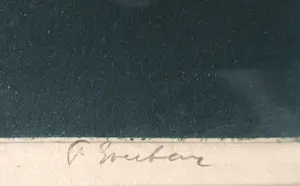 Frans Everbag - Witte Pauw kopen? Bied vanaf 150!