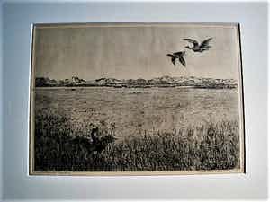 Martin van Waning - Mooie grote Droge Naald Ets - Vliegende eenden Schiermonnikoog - gesigneerd verkocht voor € 29!
