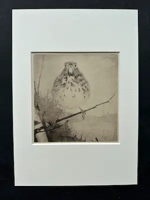 Jan Mankes - Heliogravure " Lijster op tak " kopen? Bied vanaf 175!