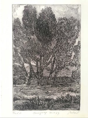 Gerard Bellaart - Boomgroep (ets, kleine oplage / 70's) kopen? Bied vanaf 1!