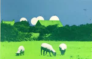 Roel Kimpe - white treat verkocht voor € 45!