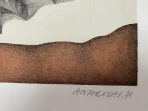 Ana Godel - Cahiers de Botanique kopen? Bied vanaf 20!