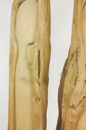 Niet of onleesbaar gesigneerd - Zeer groot houten scultpuur, Twee figuren kopen? Bied vanaf 1!