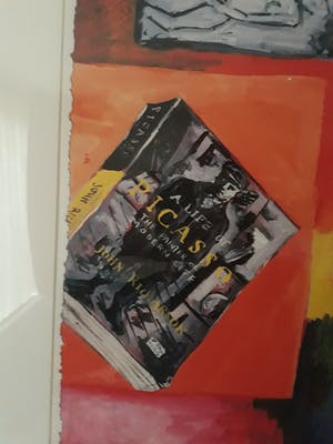 Peter Klashorst - a life off picasso kopen? Bied vanaf 79!