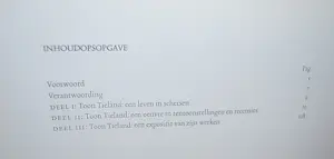 Toon Tieland - Hardcover monografie 1999 kopen? Bied vanaf 45!