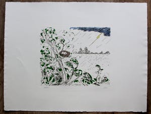 Pieter Holstein - Hand ingekleurde ets: kracht kopen? Bied vanaf 60!