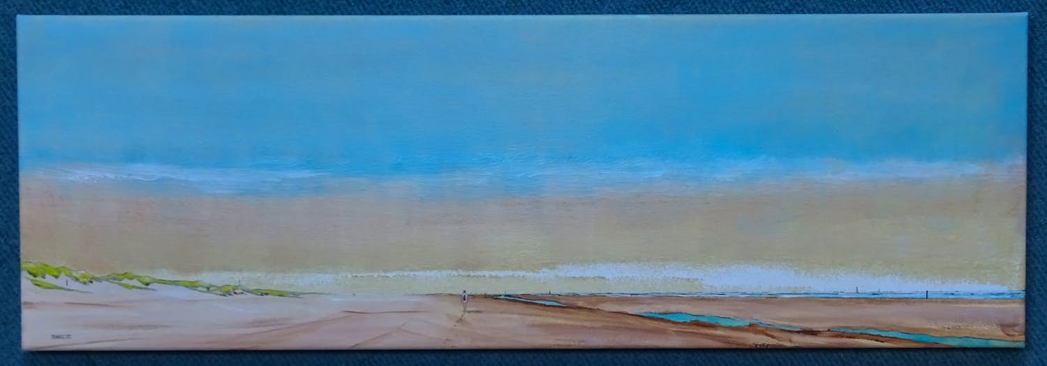 Franklin Meijer - Texel - Strand kopen? Bied vanaf 85!