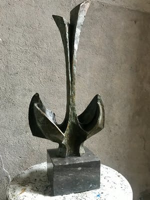 Rien Goene - Groei kopen? Bied vanaf 1450!
