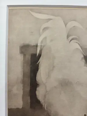 Jan Mankes - Zilverwynandotte. Haan. Ingelijst. kopen? Bied vanaf 129!