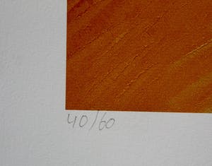 Dadara - zeefdruk: Unknown Territories kopen? Bied vanaf 150!