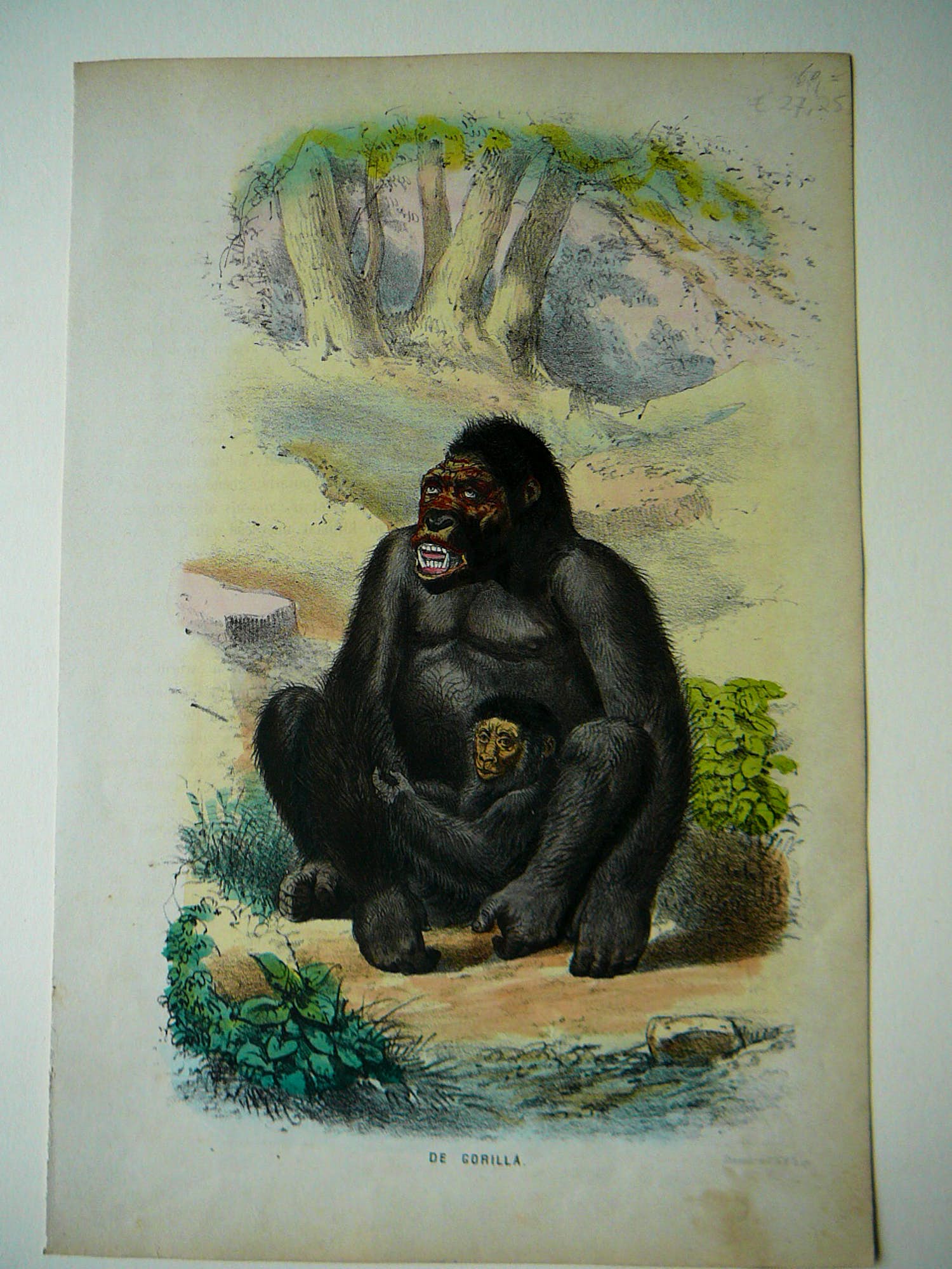 Pieter Trap - DE GORILLA Aap verkocht voor € 20!