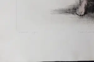 Geurt van Dijk - Idool zonder handen kopen? Bied vanaf 25!