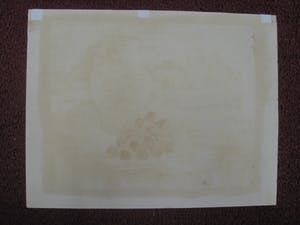 Geni Peter - Mooie in 1946 geschilderde Gouache - stilleven "appels en druiven" - gesigneerd kopen? Bied vanaf 59!