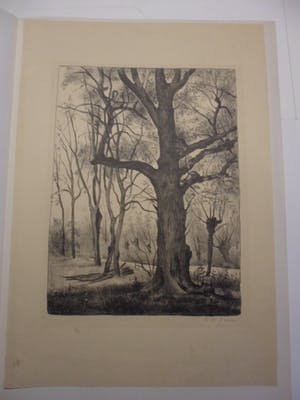 Cor. W Joppe - Litho, zonder titel kopen? Bied vanaf 20!
