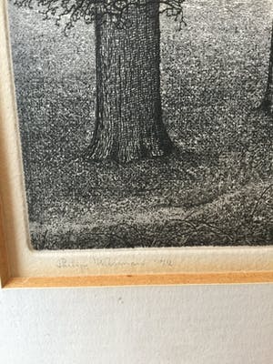 Philip Wiesman - A5437-1, Bomen kopen? Bied vanaf 25!