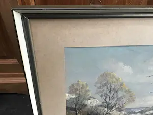 Gerard Cox (jr.) - Duinzicht. kopen? Bied vanaf 30!