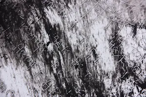 Anton Heyboer - Zeer grote ets, Primaire leven kopen? Bied vanaf 400!