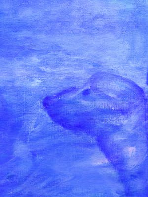 Niet of onleesbaar gesigneerd - Kind met dieren kopen? Bied vanaf 1!