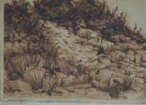 Johan D. Scherft - Ets , “Duinpunt” – gesigneerd – ca 1940 kopen? Bied vanaf 10!