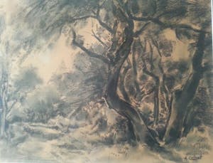 Arnout Colnot - Bergerbos kopen? Bied vanaf 275!