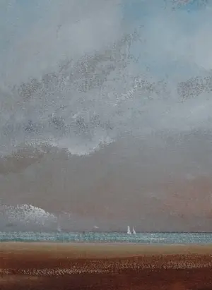 Franklin Meijer - Waddezee kopen? Bied vanaf 30!