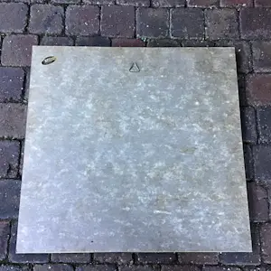 Ad van Hassel - Rode Tulpen. kopen? Bied vanaf 40!