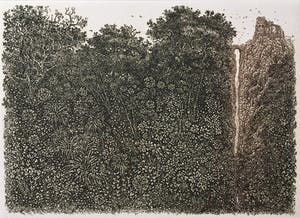 Simon Koene - Tropisch oerwoud met kloof en burcht kopen? Bied vanaf 30!