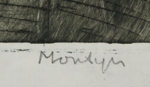 Jan Montyn - Kleurenets, Ontkenning kopen? Bied vanaf 1!