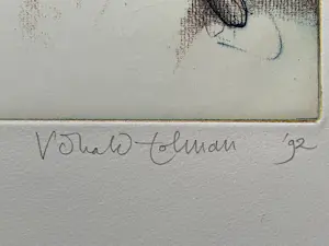 Ronald Tolman - DIADOLOS kopen? Bied vanaf 95!