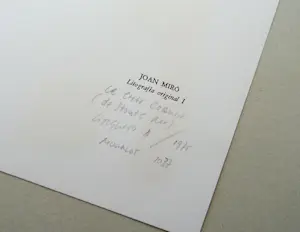 Joan Miro - Le Chat Coquin - 1975 - Litografía original I (band II) - Mourlot 1037 kopen? Bied vanaf 149!